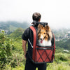Ibiyaya Champion Large Dog Backpack, Maroon