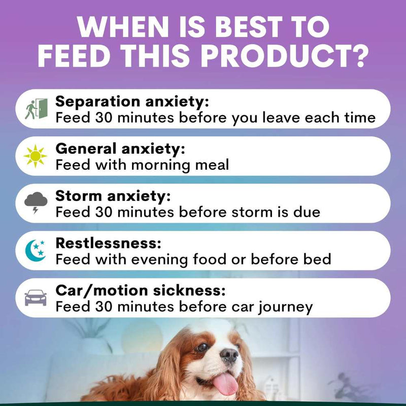 Petz Park Supplement For Dogs | Stress + Anxiety