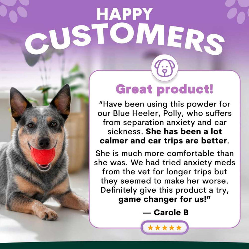 Petz Park Supplement For Dogs | Stress + Anxiety