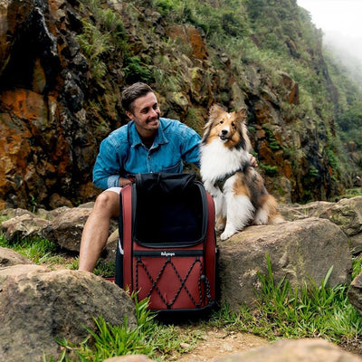 Ibiyaya Champion Large Dog Backpack, Maroon