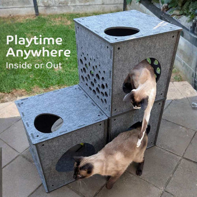 Modular Cat Cube, Charcoal