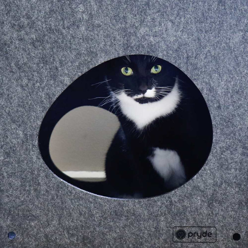 Modular Cat Cube, Charcoal