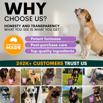 Petz Park Supplement For Dogs | Stress + Anxiety