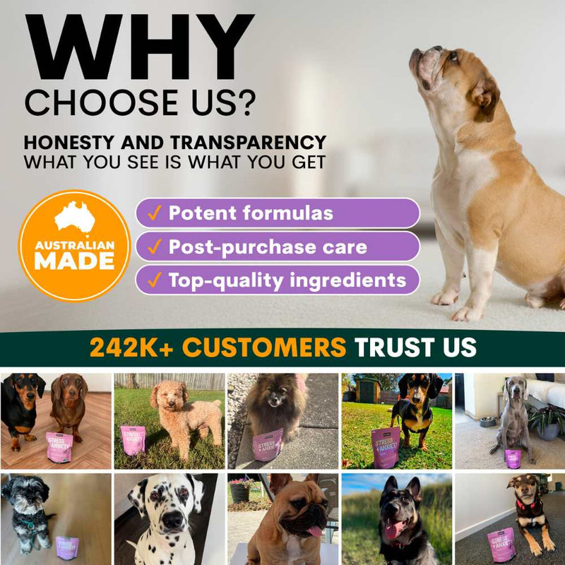 Petz Park Supplement For Dogs | Stress + Anxiety