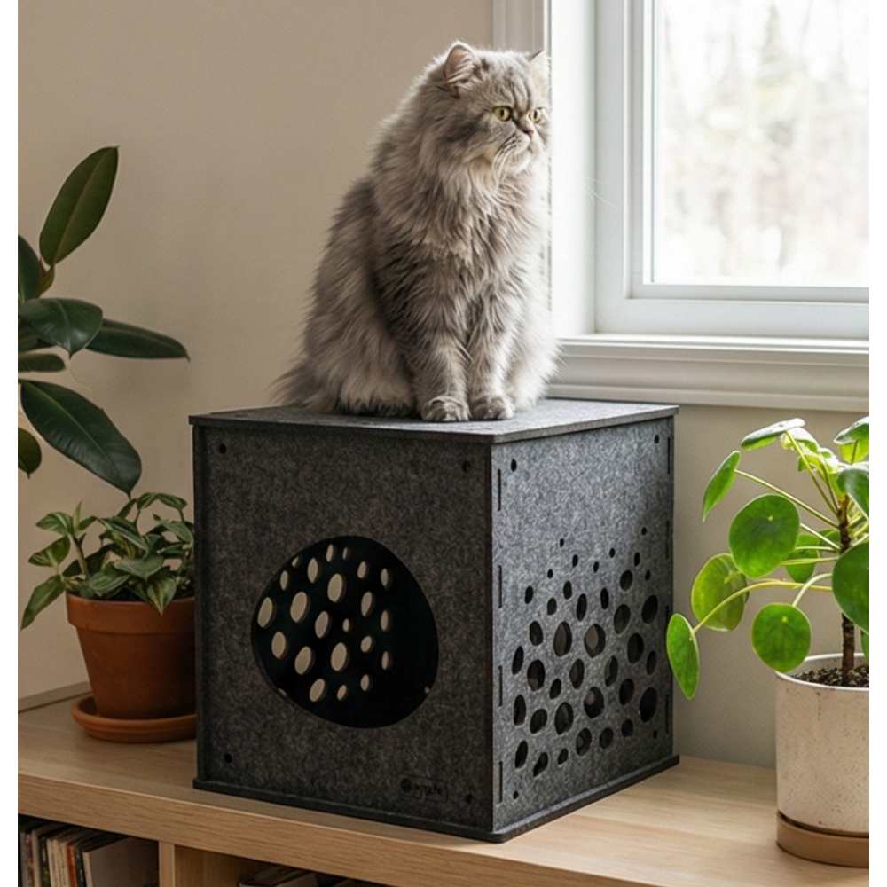 Modular Cat Cube, Charcoal