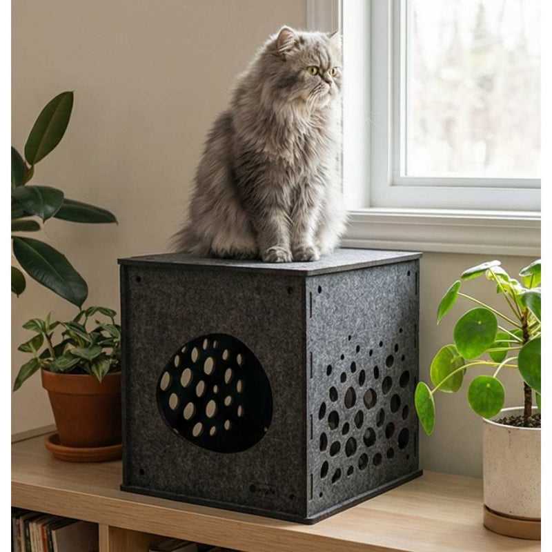 Modular Cat Cube, Charcoal