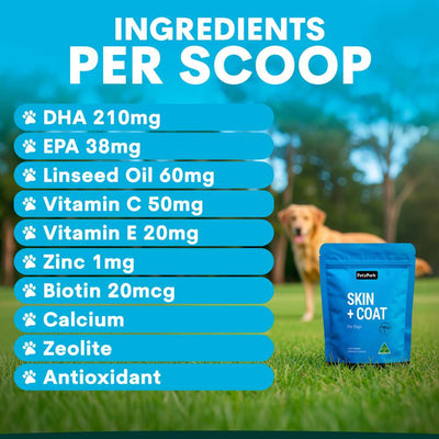 Petz Park Supplement For Dogs | Skin + Coat