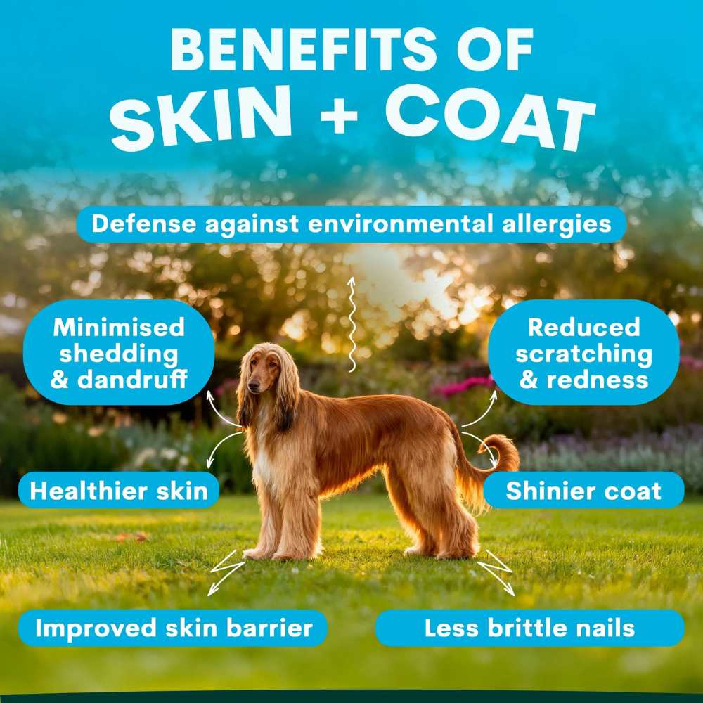 Petz Park Supplement For Dogs | Skin + Coat