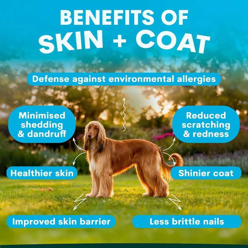 Petz Park Supplement For Dogs | Skin + Coat