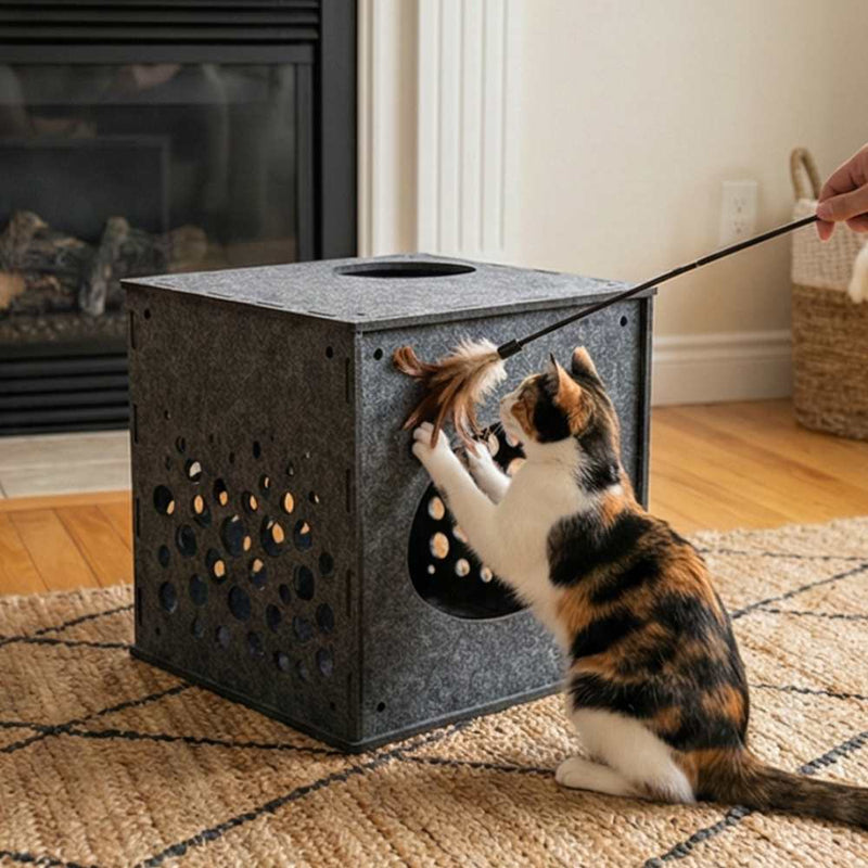 Modular Cat Cube, Charcoal