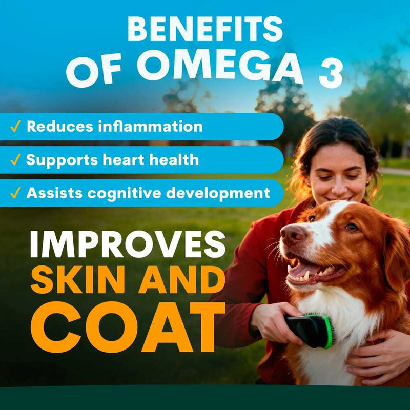 Petz Park Supplement For Dogs | Skin + Coat