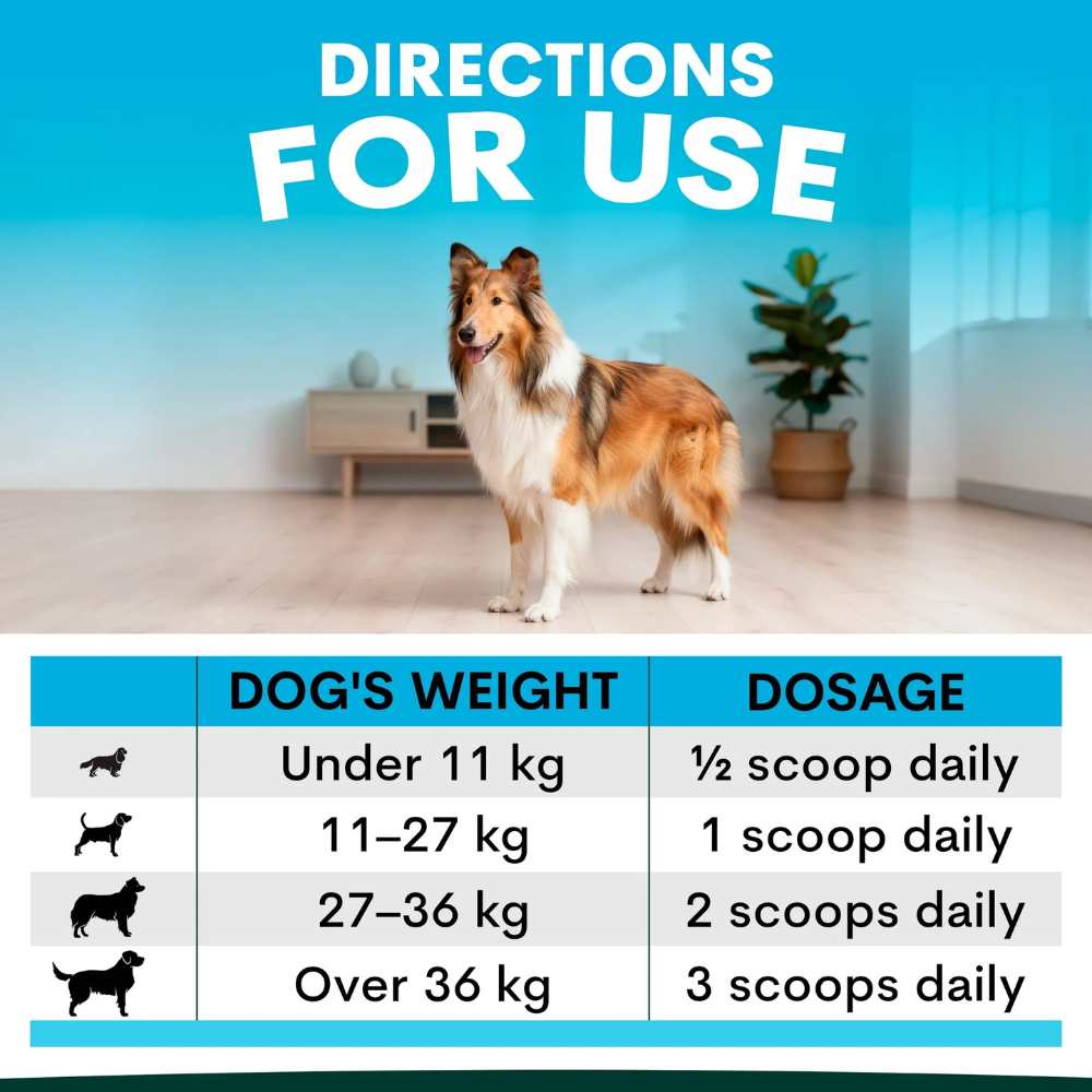 Petz Park Supplement For Dogs | Skin + Coat
