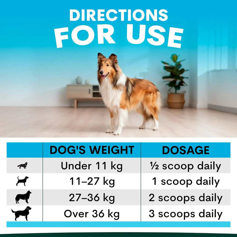 Petz Park Supplement For Dogs | Skin + Coat