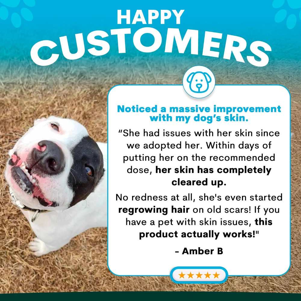 Petz Park Supplement For Dogs | Skin + Coat
