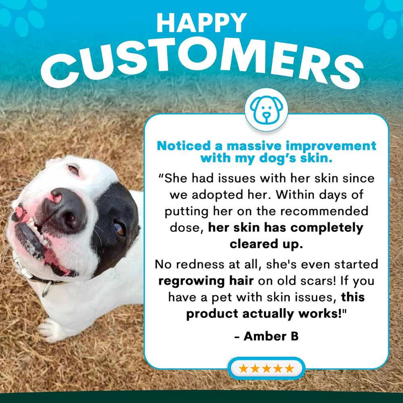 Petz Park Supplement For Dogs | Skin + Coat