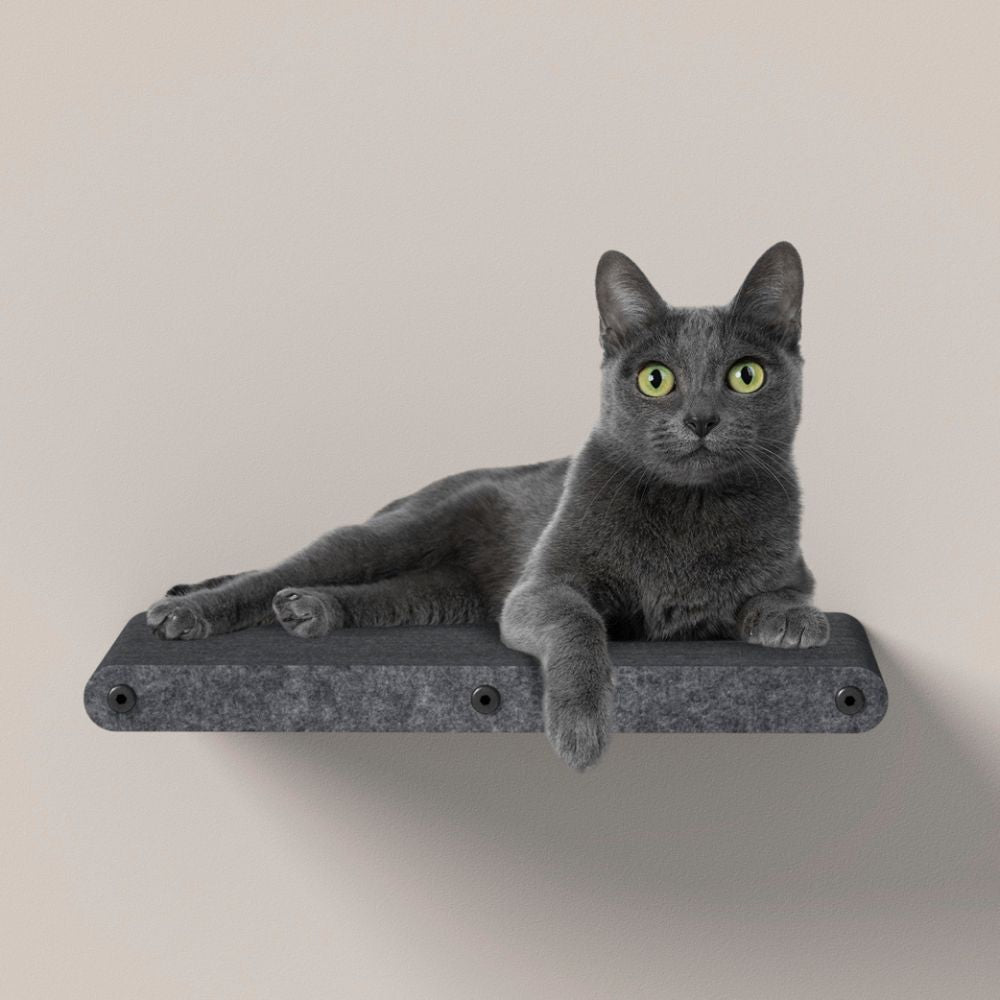 Cat Climber Set of 4 Shelves, Charcoal