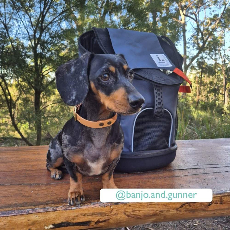 Ibiyaya Ultralight-Pro Backpack Pet Carrier, Navy Blue