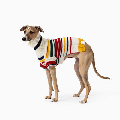 Karlsson Knitted Dog Jumper