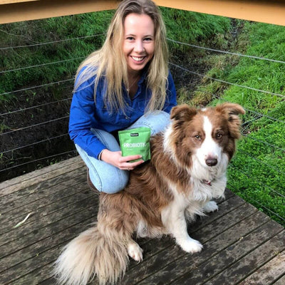 Petz Park Supplement For Dogs | Probiotic