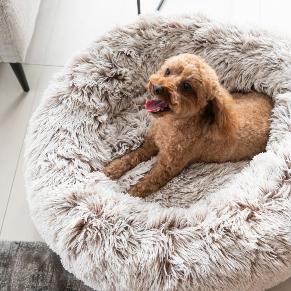 Curl Up Cloud Calming Dog Bed, Sable
