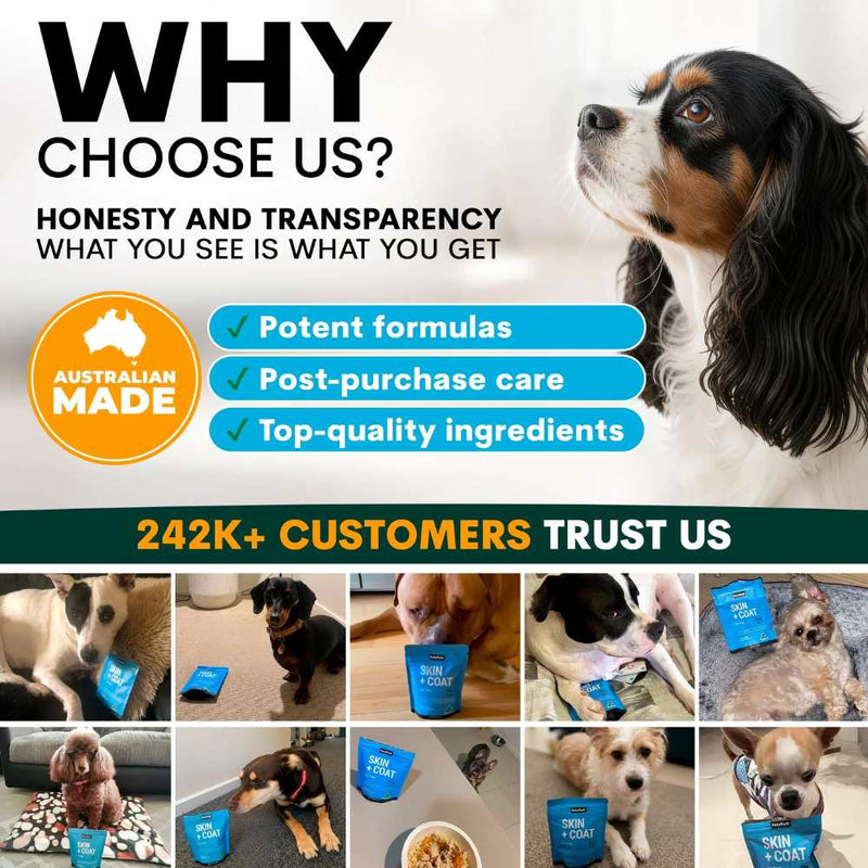 Petz Park Supplement For Dogs | Skin + Coat