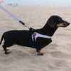 Tre Ponti Genesis Easy Leash, Pink