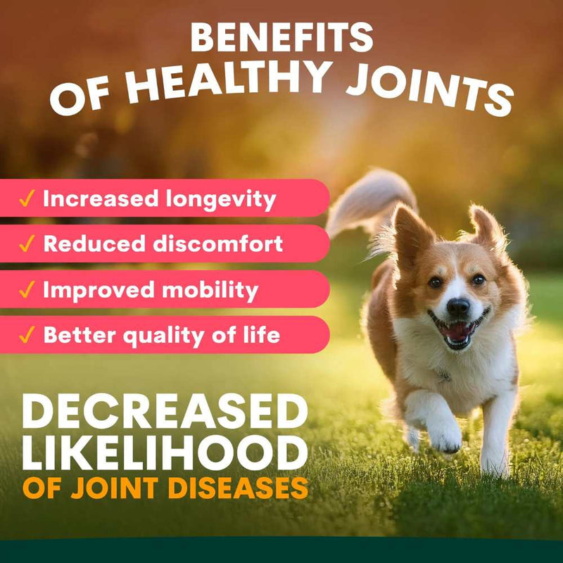 Petz Park Supplement For Dogs | Hip + Joint