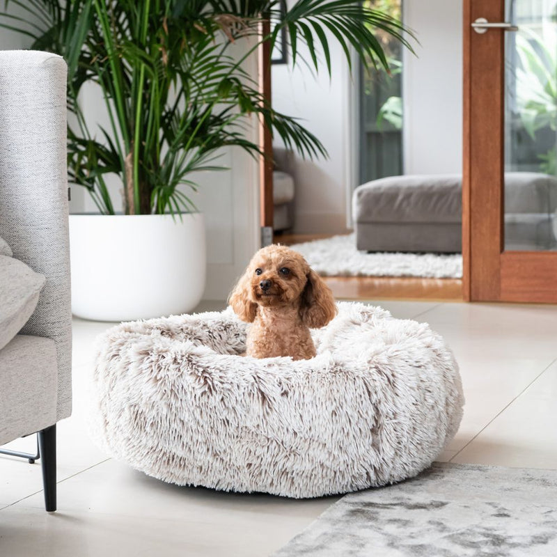 Curl Up Cloud Calming Dog Bed, Sable