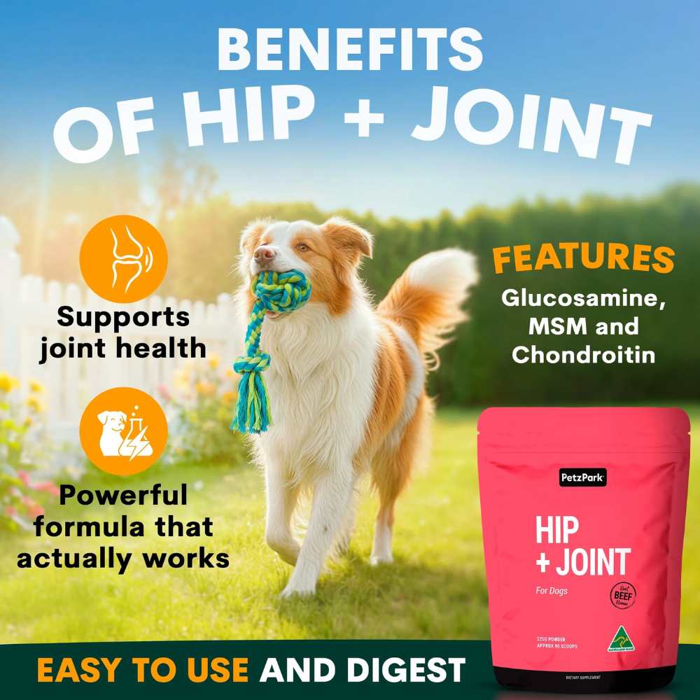 Petz Park Supplement For Dogs | Hip + Joint