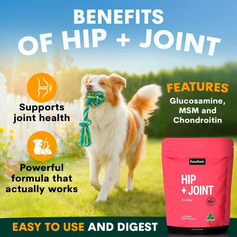Petz Park Supplement For Dogs | Hip + Joint