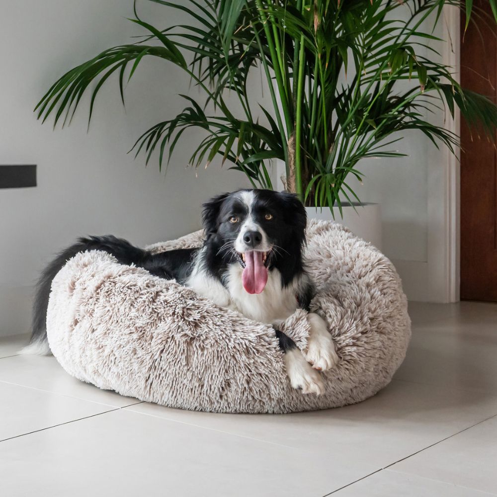 Curl Up Cloud Calming Dog Bed, Sable