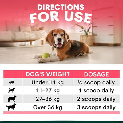 Petz Park Supplement For Dogs | Hip + Joint
