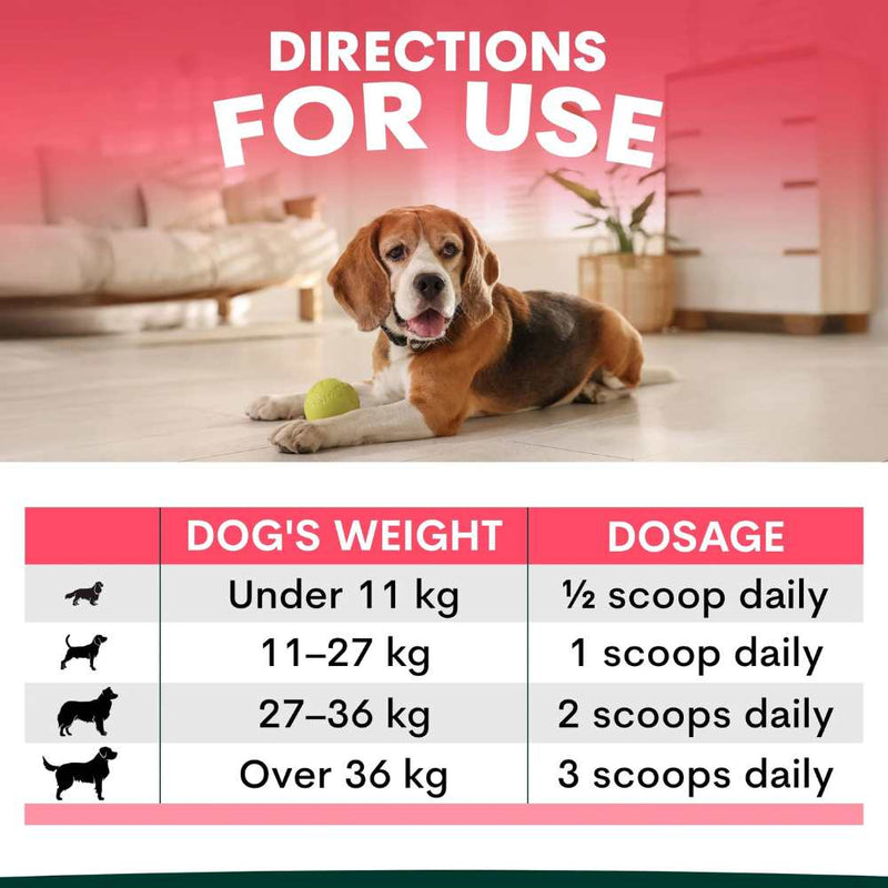 Petz Park Supplement For Dogs | Hip + Joint