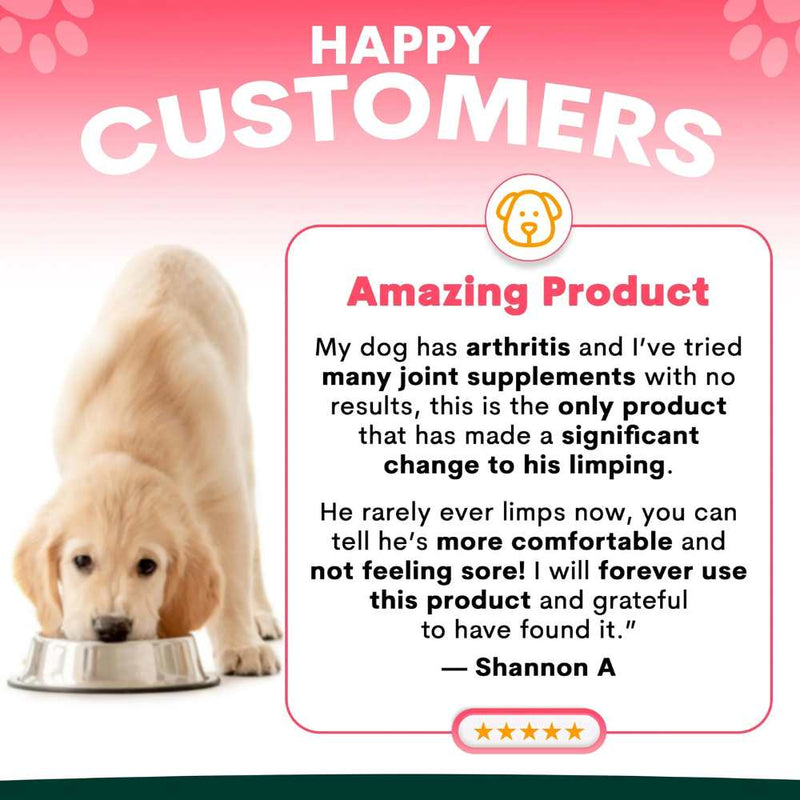 Petz Park Supplement For Dogs | Hip + Joint