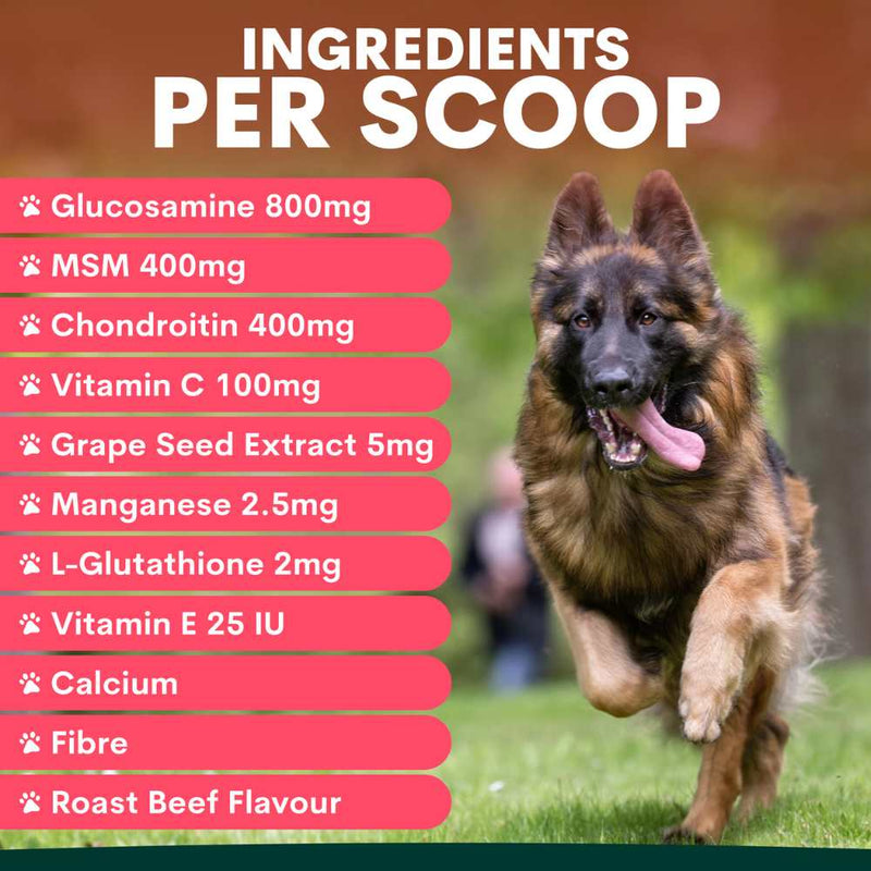 Petz Park Supplement For Dogs | Hip + Joint