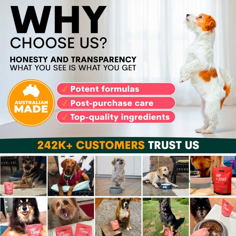 Petz Park Supplement For Dogs | Hip + Joint