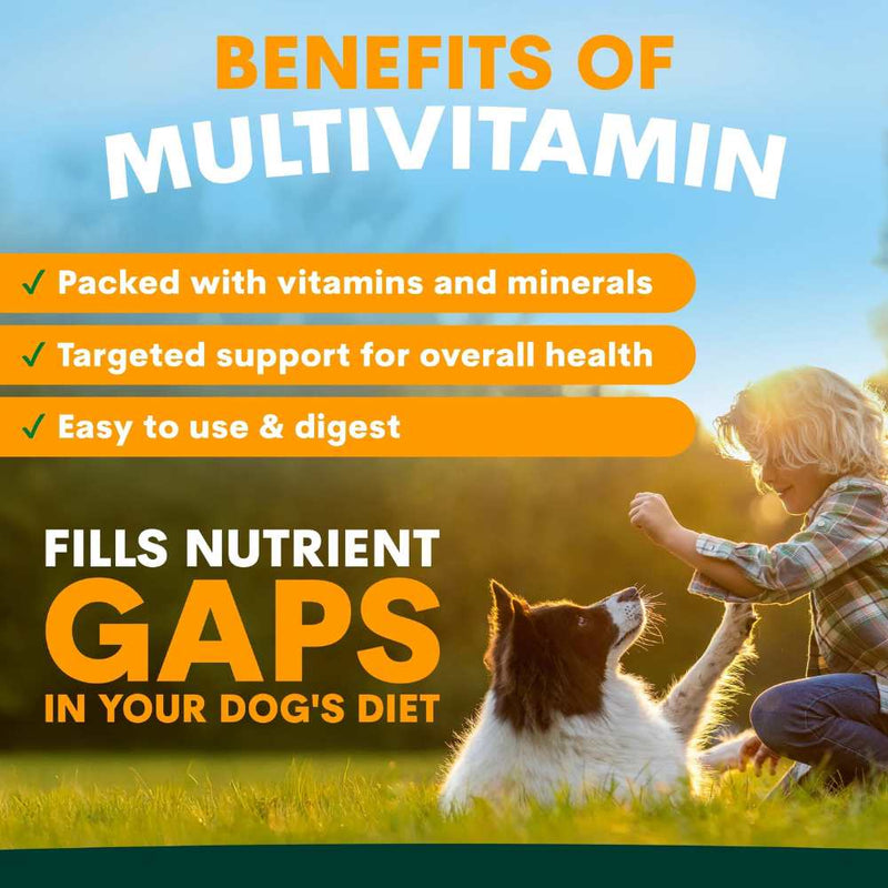 Petz Park Supplement For Dogs | Multi-Vitamin