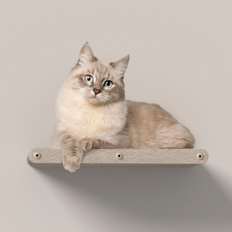 Cat Climber Set of 4 Shelves, Oatmeal