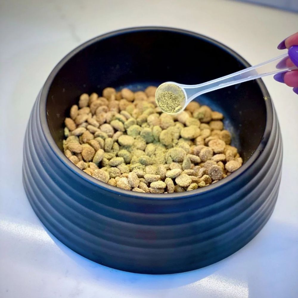 Petz Park Supplement For Dogs | Probiotic