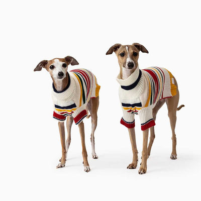 Karlsson Knitted Dog Jumper