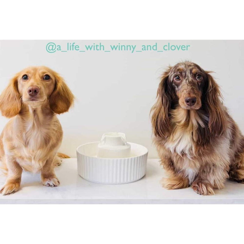 Ceramic Pet Water Fountain