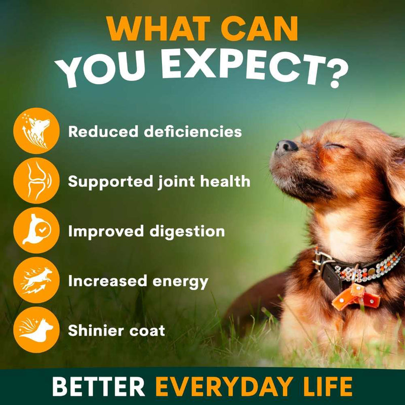 Petz Park Supplement For Dogs | Multi-Vitamin