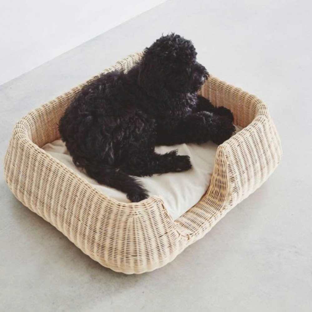 Modern Rattan Dog Bed