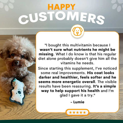 Petz Park Supplement For Dogs | Multi-Vitamin