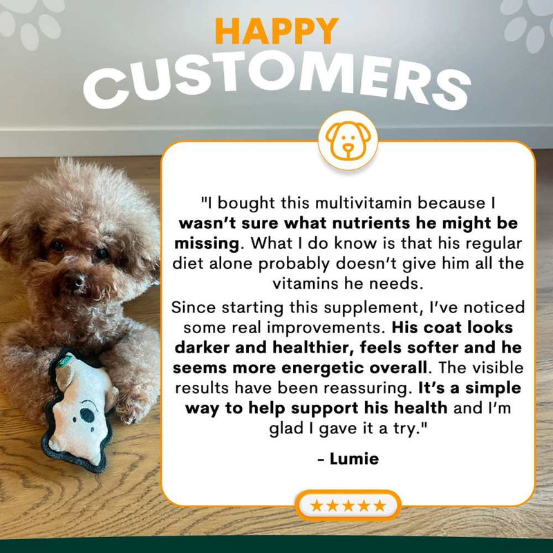 Petz Park Supplement For Dogs | Multi-Vitamin