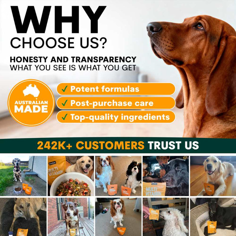 Petz Park Supplement For Dogs | Multi-Vitamin