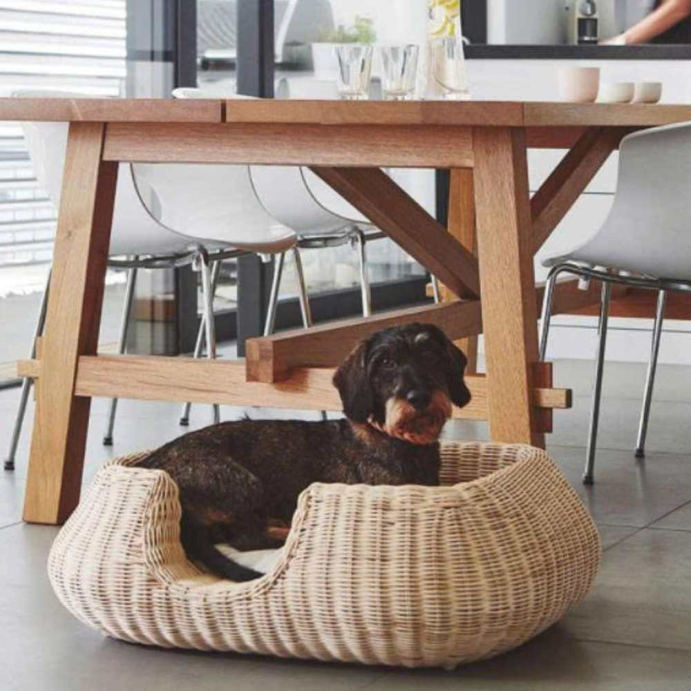 Modern Rattan Dog Bed