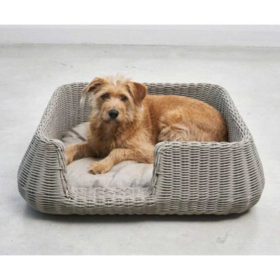 Modern Rattan Dog Bed