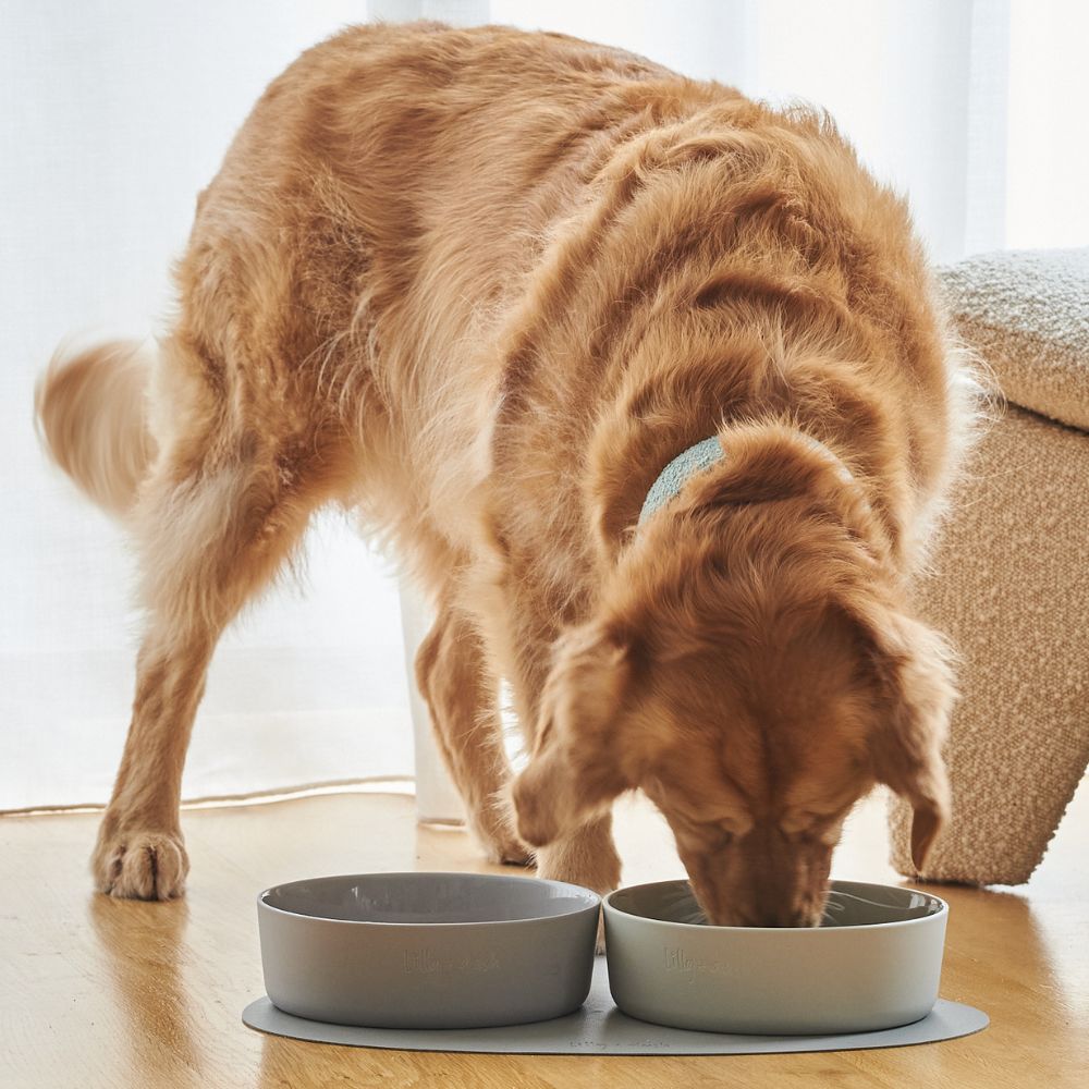 Ceramic Dog Bowl, Slate