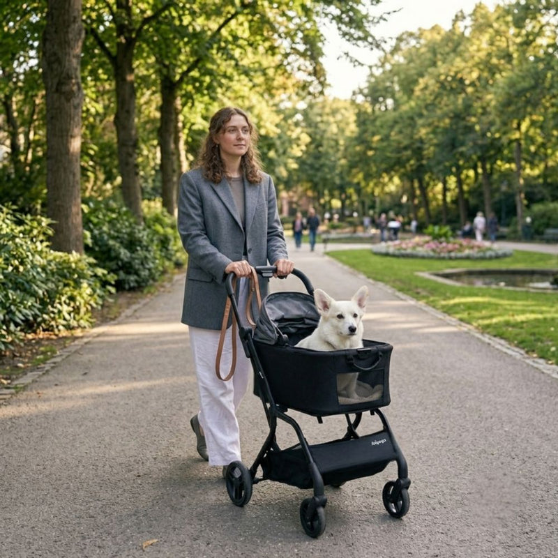 Ibiyaya HUE-GO Detachable Pet Stroller & Capsule, Stone Grey